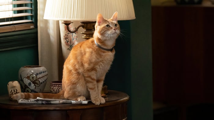 Goose the Cat from The Marvels in 4K