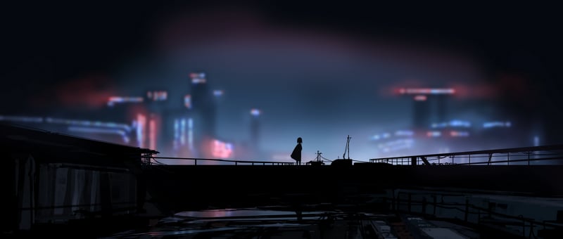 Silhouette of a person on a rooftop overlooking a city