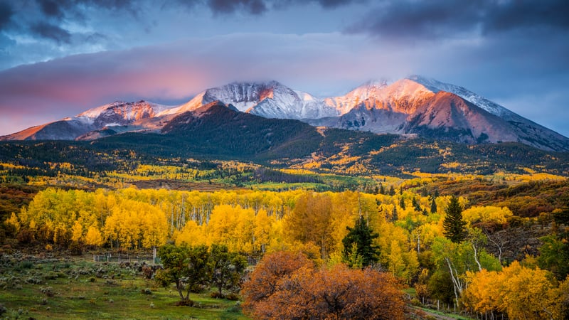 Golden Aspen Forest Below Snow-Capped Mountains at Sunrise