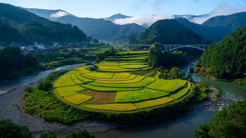 Terraced rice fields beside a winding river and mountains