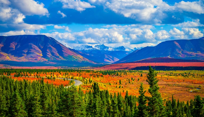 Autumn landscape with mountains and evergreen trees