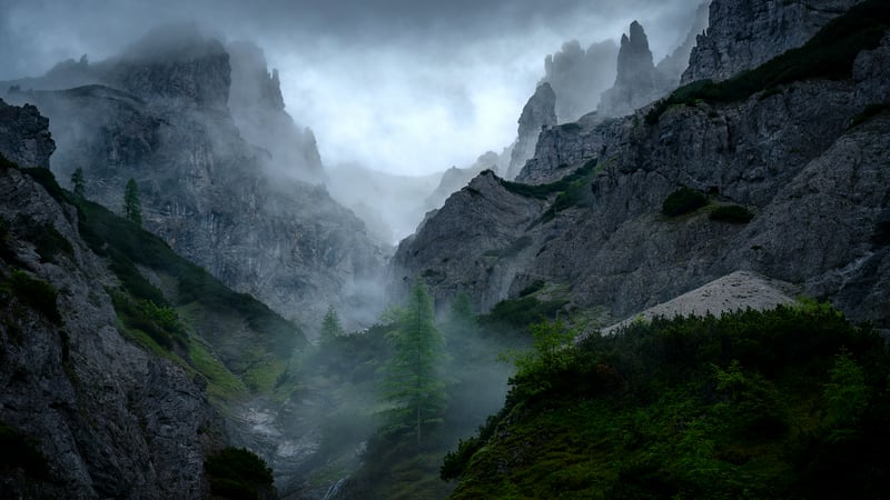 Misty mountain valley with rocky peaks and trees