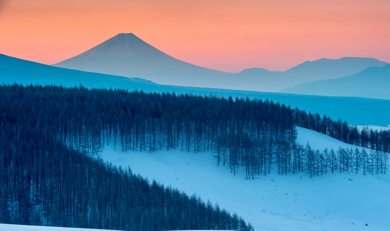 Snowy forest with Mount Fuji at sunrise