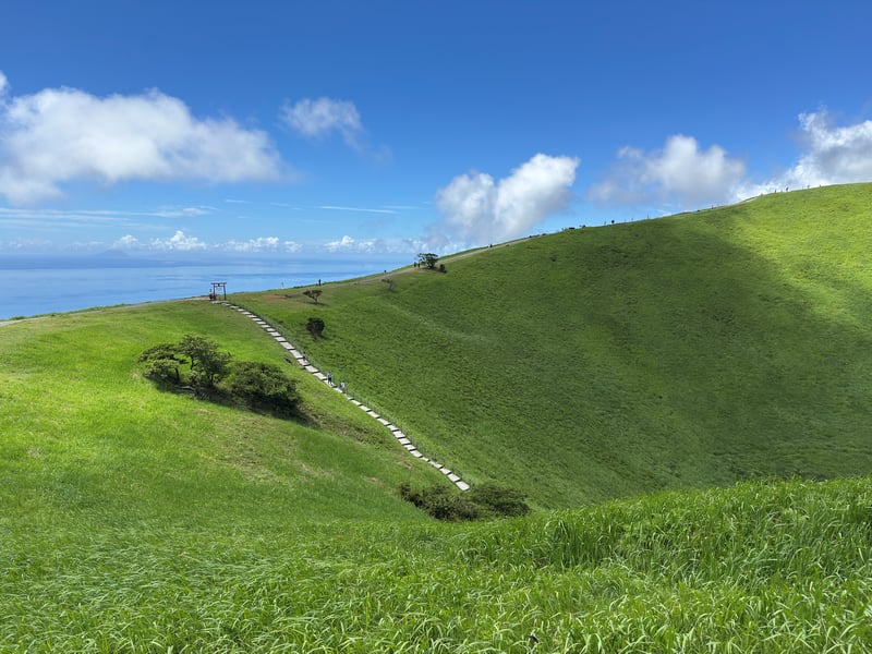 Green grassy hillside with stone steps leading to a torii gate