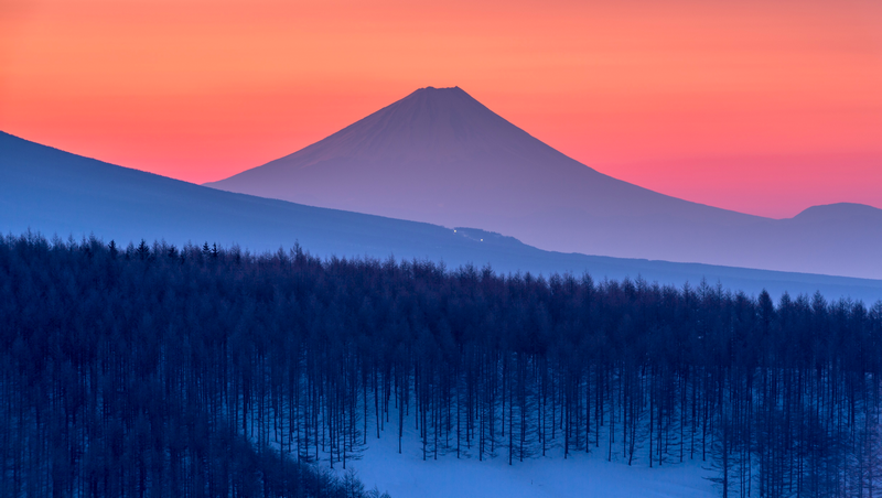 Mount Fuji at sunset with snow-covered forest