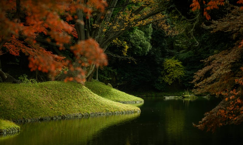 Autumn foliage reflects in a tranquil garden pond