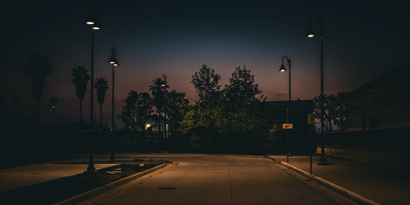 Empty road at night with street lights and trees