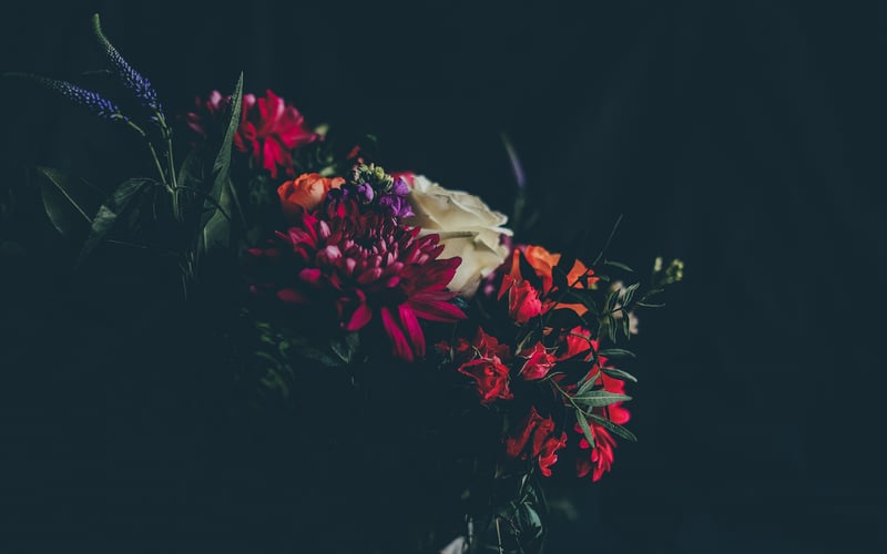 Colorful bouquet of flowers with dark background