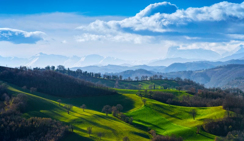 Rolling green hills with trees under a cloudy sky