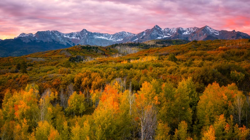 Autumn forest with snow-capped mountains at sunrise