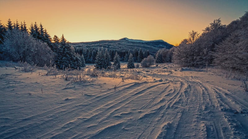 Snowy landscape with tire tracks at sunset