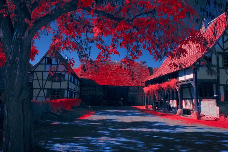 Digital art of red trees and half-timbered houses