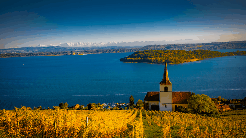 Boat on a lake with vineyard and mountains