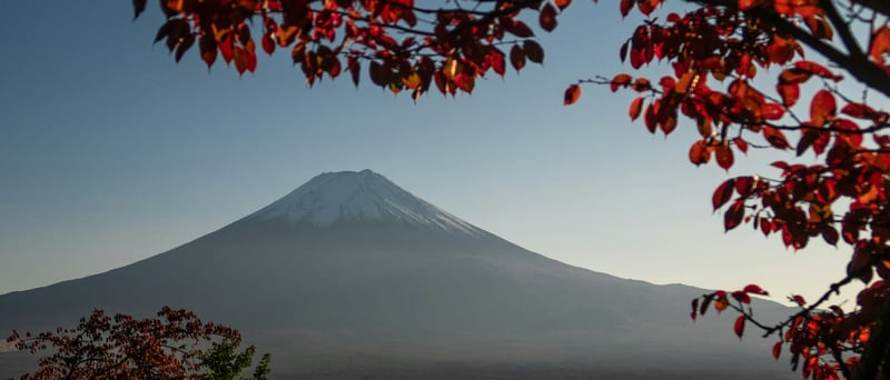 Mount Fuji with Autumn Leaves and Blue Sky