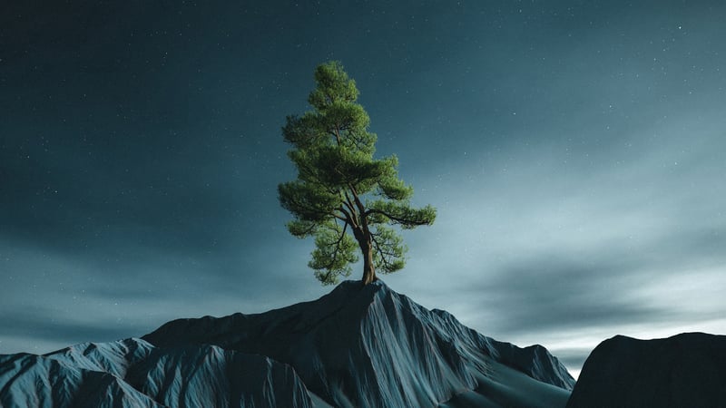Lone tree on a rocky peak under a starry sky