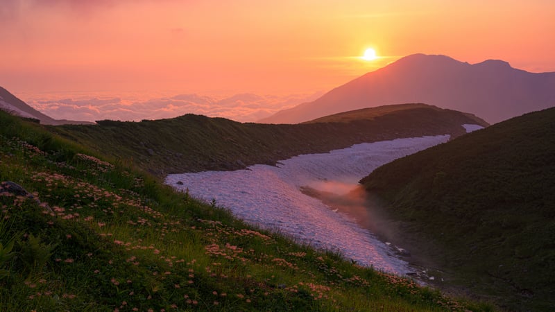 Sunset over snowy mountain landscape with flowers