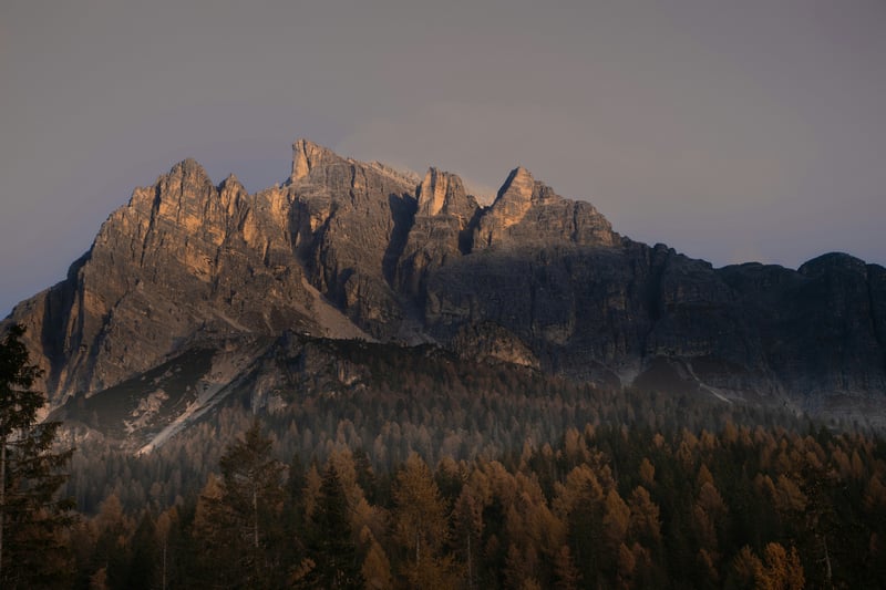 Jagged mountain peaks above a dense forest