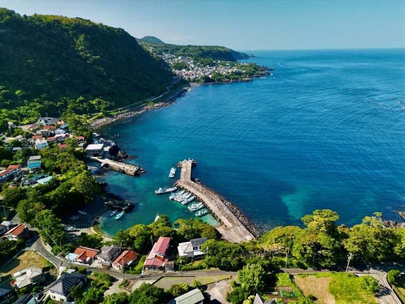 Coastal Japanese Village with Jetty and Boats