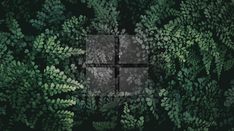 Windows 11 Logo on Dark Green Fern Background