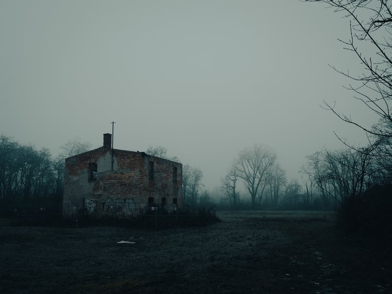 Abandoned brick building in foggy winter forest