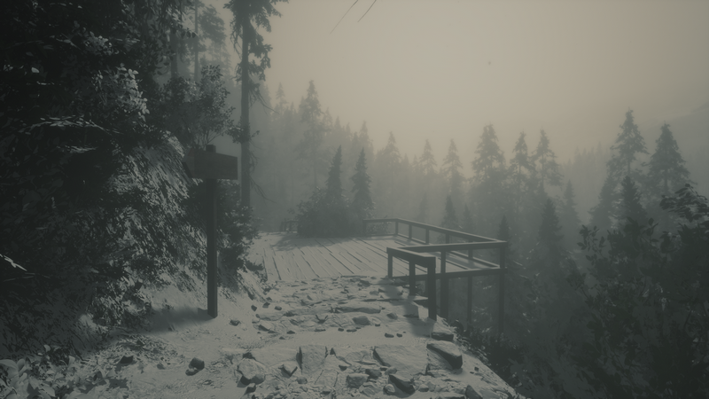 Lushfoilsim viewpoint in a foggy, snowy forest