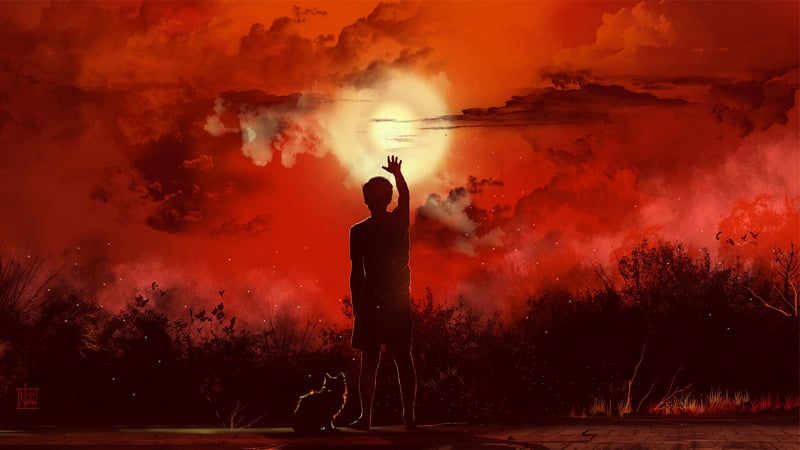 Boy and cat reach for the sun