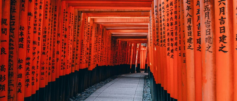 Orange Torii Gates Path in Japan