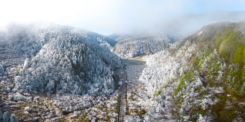A car on a road through a snow-covered forest