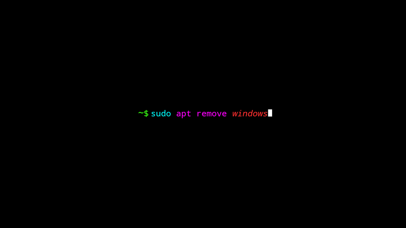 Linux command to remove Windows