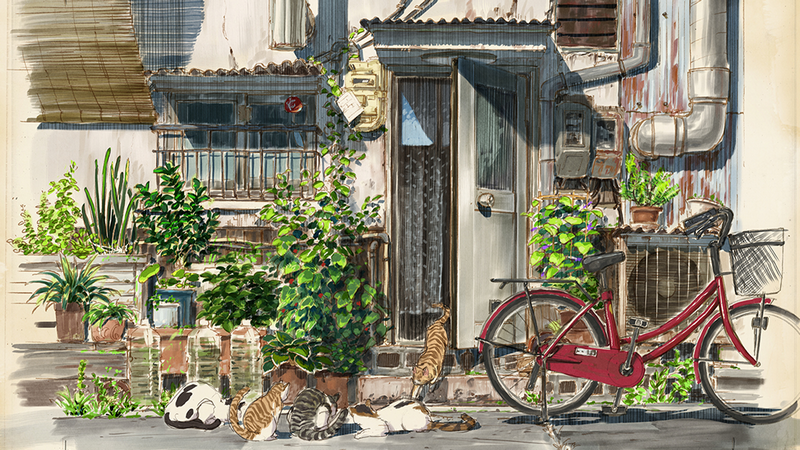 Scenery of a street with cats and a bicycle