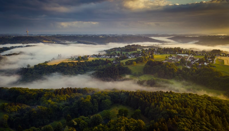 Misty valley with houses and forest at sunrise