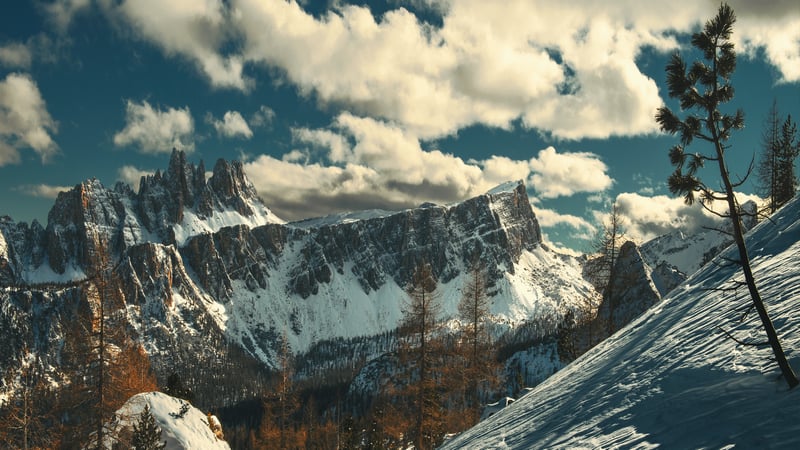 Snow-covered mountains with pine trees and clouds