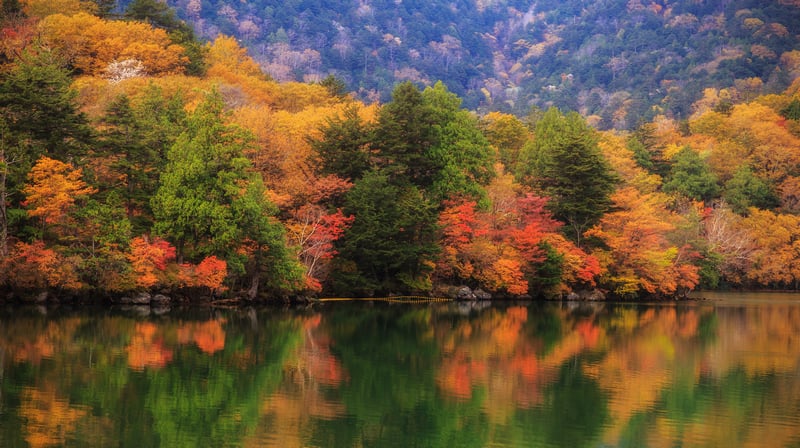 Autumn forest reflected in a calm lake