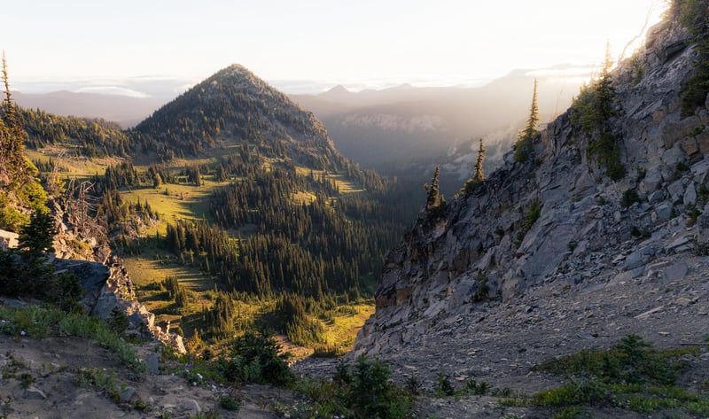 Mount Rainier National Park mountain valley with forest