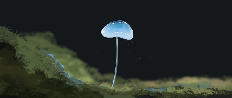 A single glowing mushroom on mossy ground