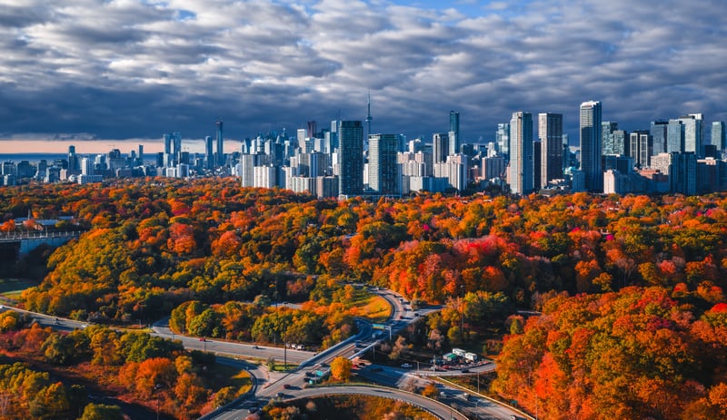 Cars on a highway surrounded by autumn trees and city skyline