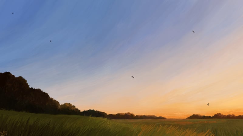 Scenery of a field at dawn with birds flying