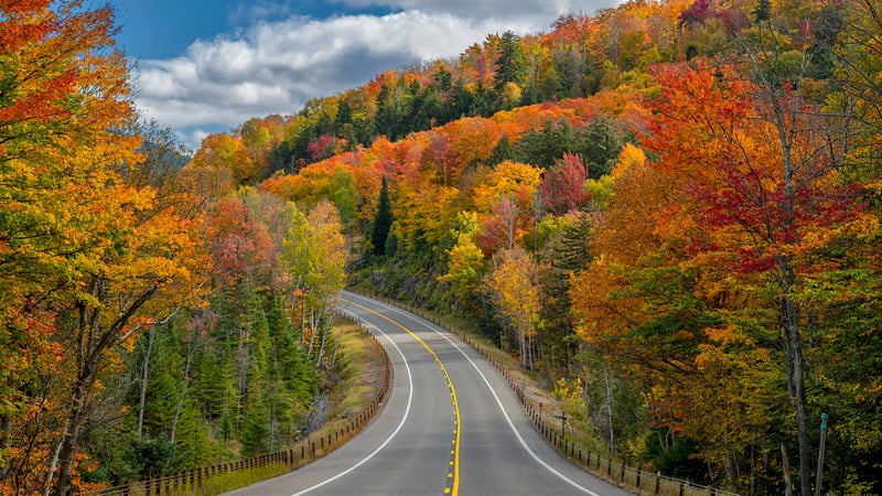 Winding road through a forest in autumn colors