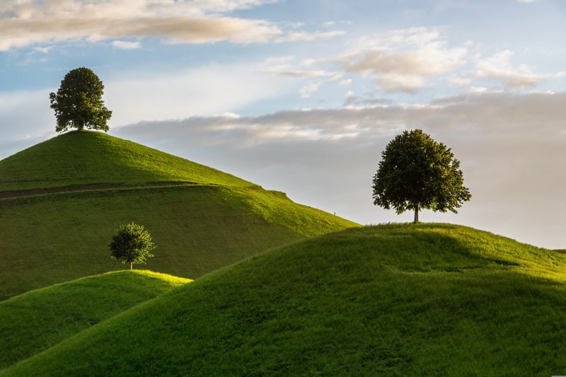 Green rolling hills with trees under a cloudy sky