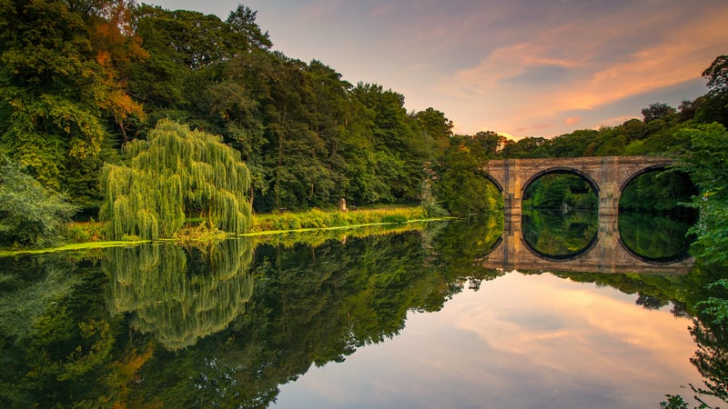 Stone bridge over a river with tree reflections