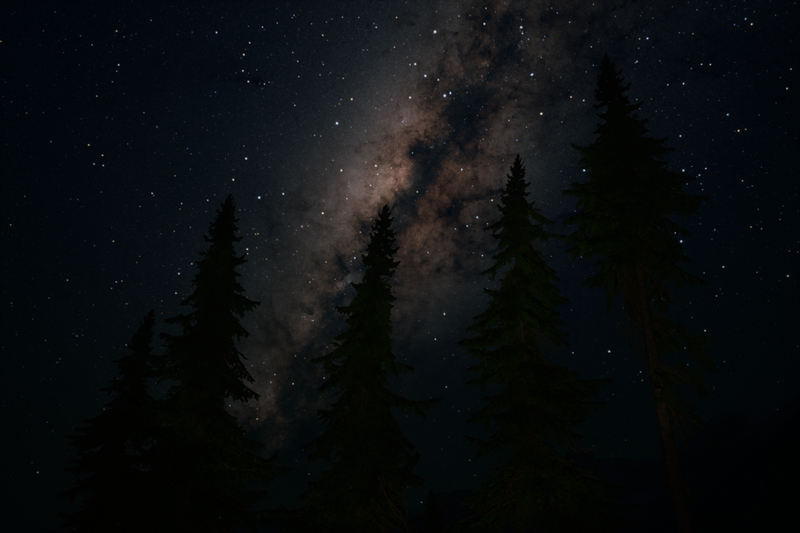 Lushfoilsim under the Milky Way