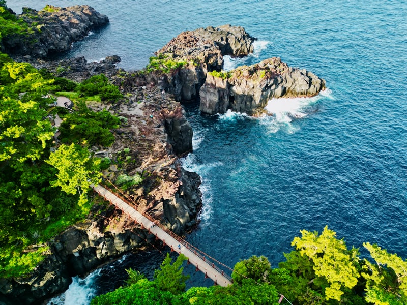 Aerial view of a suspension bridge over rocky coast in Japan