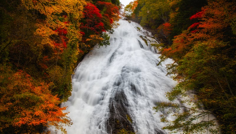 Waterfall surrounded by autumn foliage
