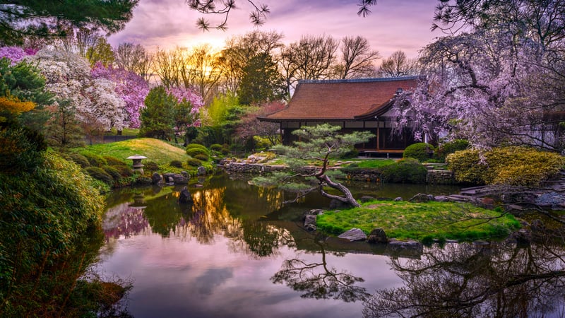 Japanese Garden with Pond and Traditional House