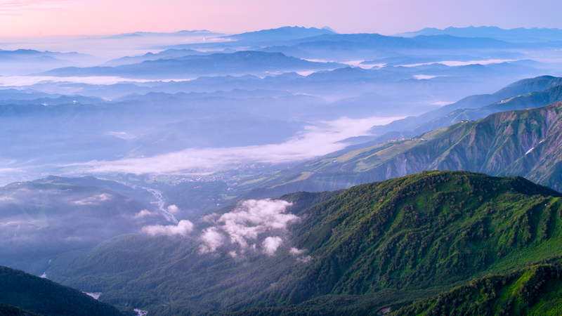 Misty Mountains and Forest Landscape