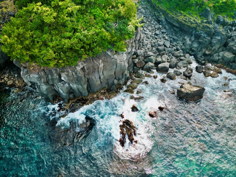 Aerial view of rocky coastline with green trees and ocean waves