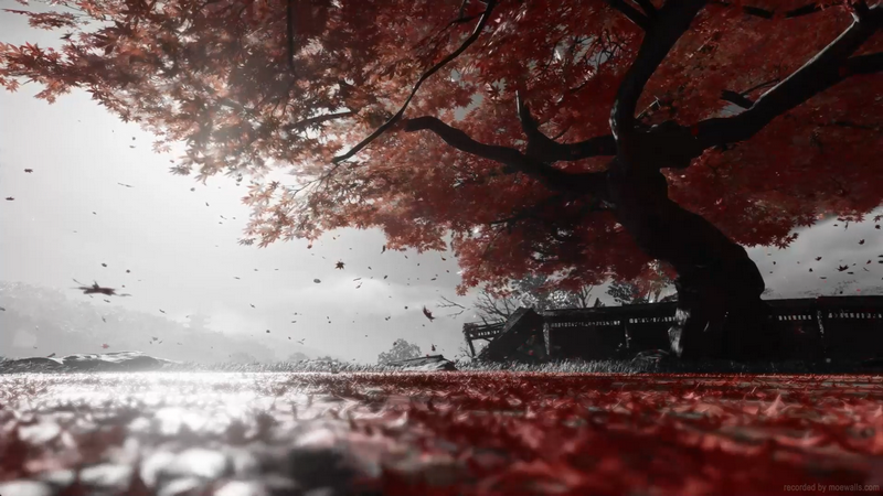 Ghost of Tsushima game art with red tree
