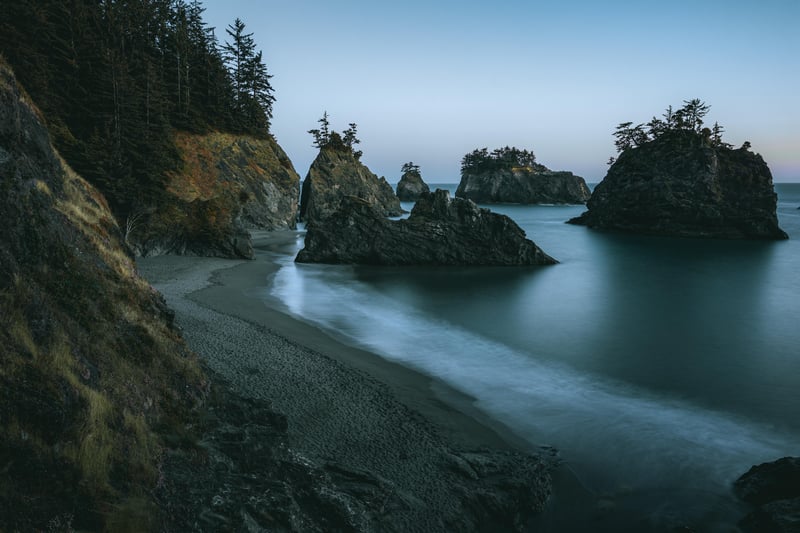 Oregon Coastline with Sea Stacks and Forest