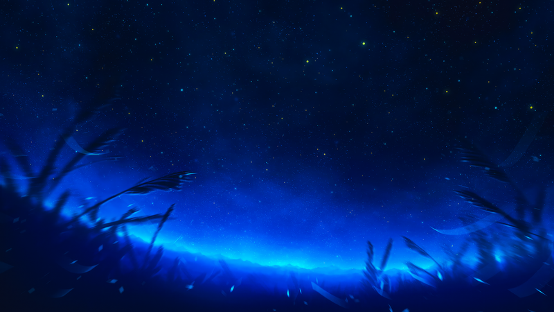 Blue starry night sky over grass