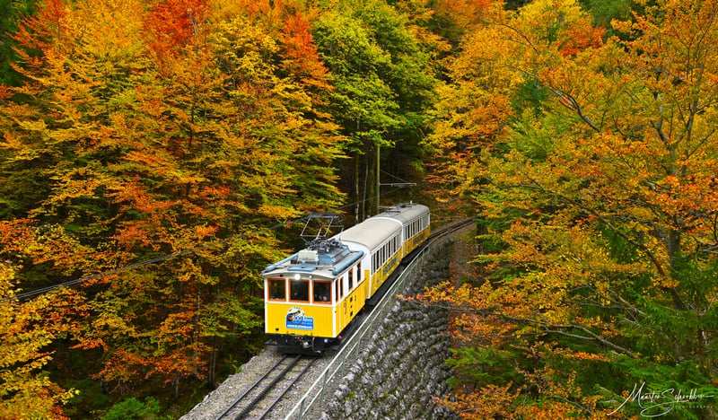 Yellow train on a railway track surrounded by autumn trees
